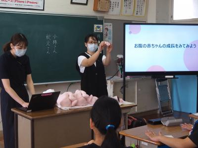 たいじのせいちょうのせつめい