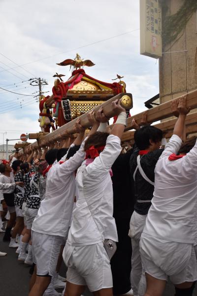 神輿を高く掲げる日枝神社の担ぎ手たち