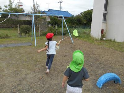 とんぼまてまてー！！（園庭遊び）