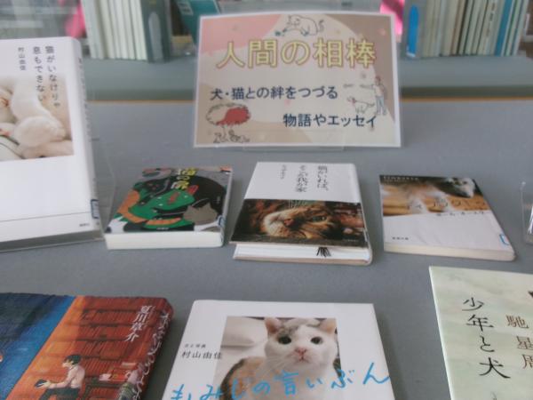 展示ケースでの「人間の相棒」特別展示の様子１