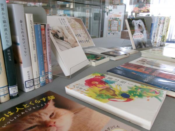 展示ケースでの特別展示「人間の相棒」展示の様子２
