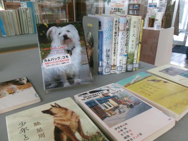 展示ケースでの特別展示「人間の相棒」展示の様子４