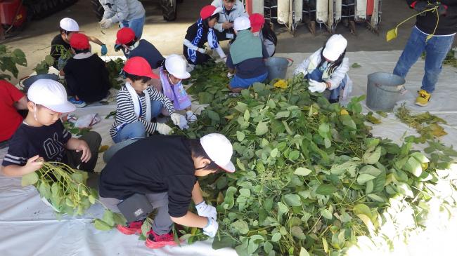 山盛りの鴨川七里と子どもたちの写真