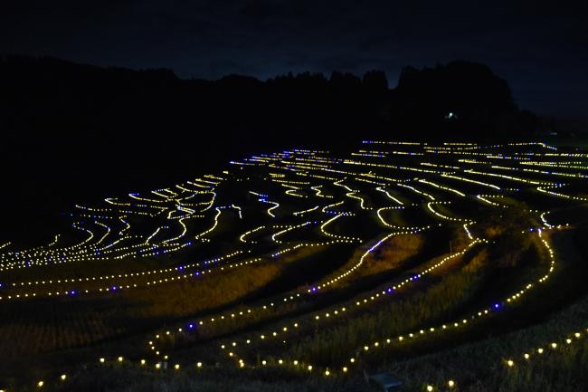 令和6年度の棚田のあかりの写真