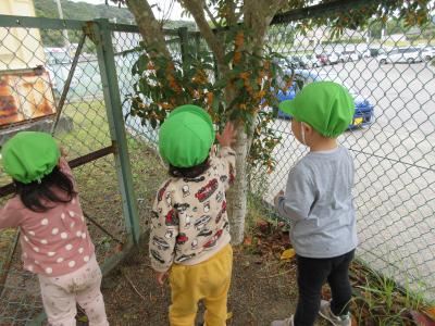 「キンモクセイ」いいかおりだね