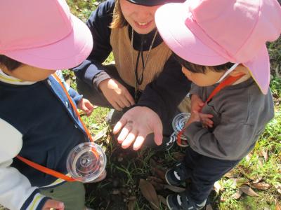 「ダンゴ虫さん！こんにちは」（園庭遊び）