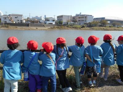 何がいるかな？（散歩）