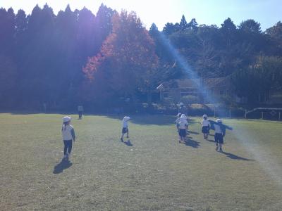 紅葉を見つけたよ（外遊び）