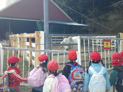 白牛を見たよ（秋の遠足）