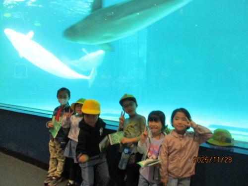 サメをバックに記念写真