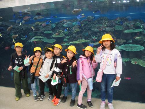 7人グループで活動中