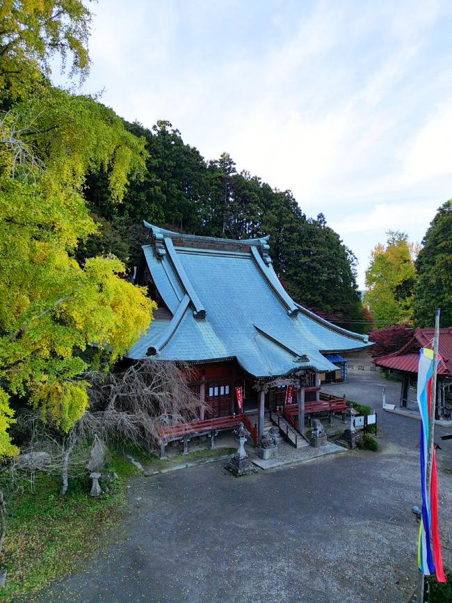 大山寺とイチョウ2