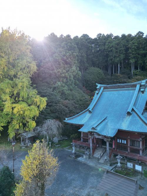 大山寺とイチョウ3