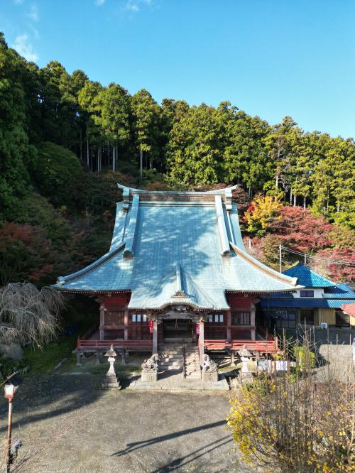 大山寺とイチョウ6