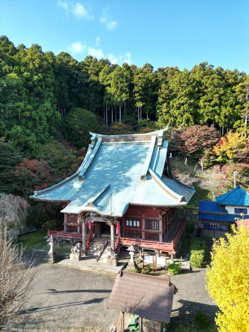 大山寺とイチョウ7