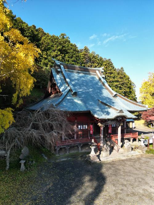 大山寺とイチョウ5