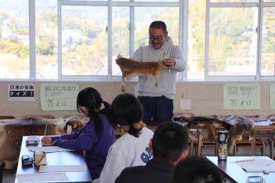 やせいのどうぶつのけがわ