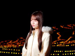 大山千枚田　写真２