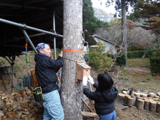 野鳥の巣箱作成会13