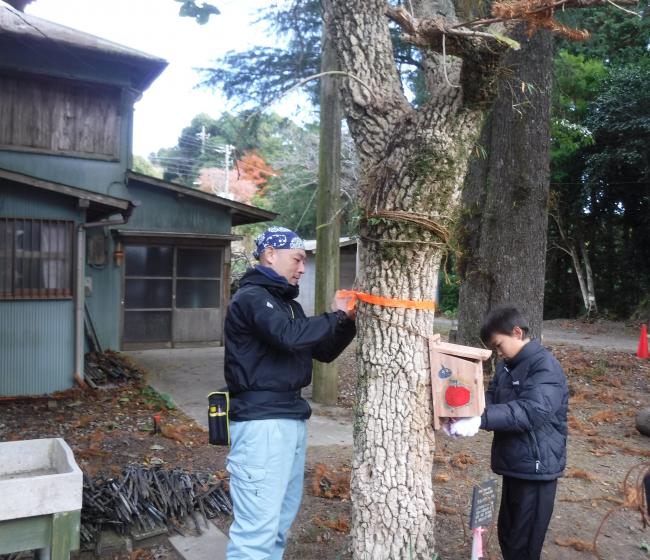 野鳥の巣箱作成会11