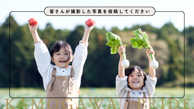 市民投稿フォーム