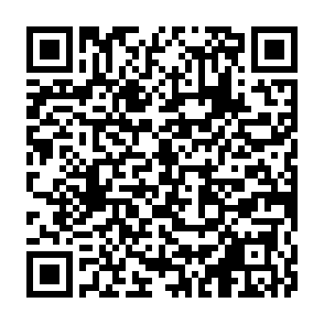 申込用QRコード