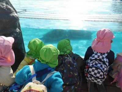 「カメかな～？」お別れ遠足