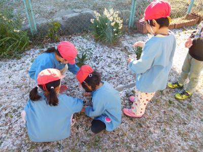 「わ～ゆきだ！！」雪遊び