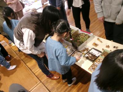 お家の人と木の実を使ったオブジェ作り！（家庭教育学級）