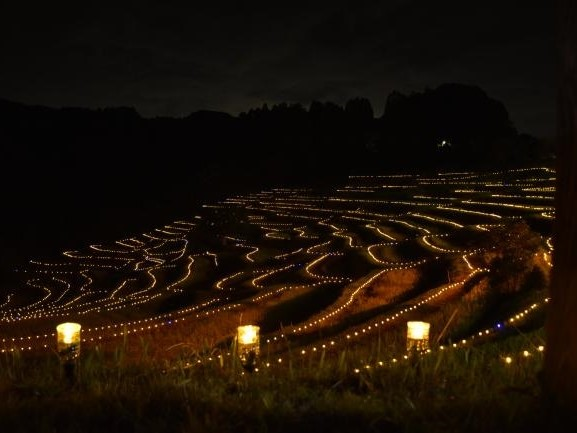 大山千枚田 写真2