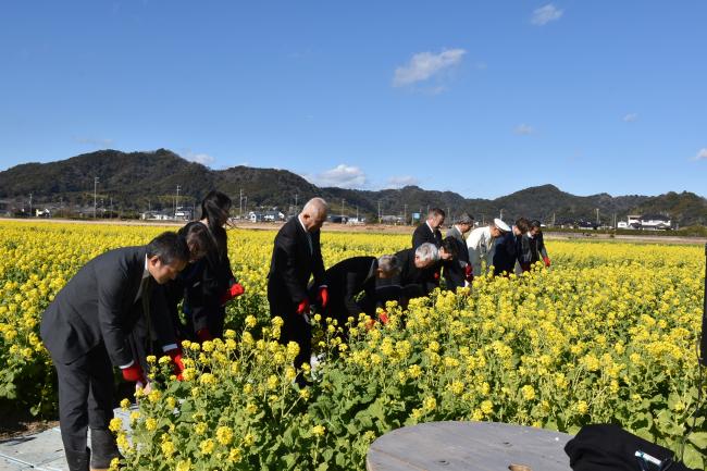 菜な畑ロード2026のオープニングセレモニーで菜の花カットを行う出席者の写真