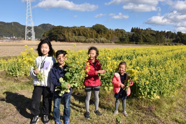 菜の花を摘んだ子どもたちの写真