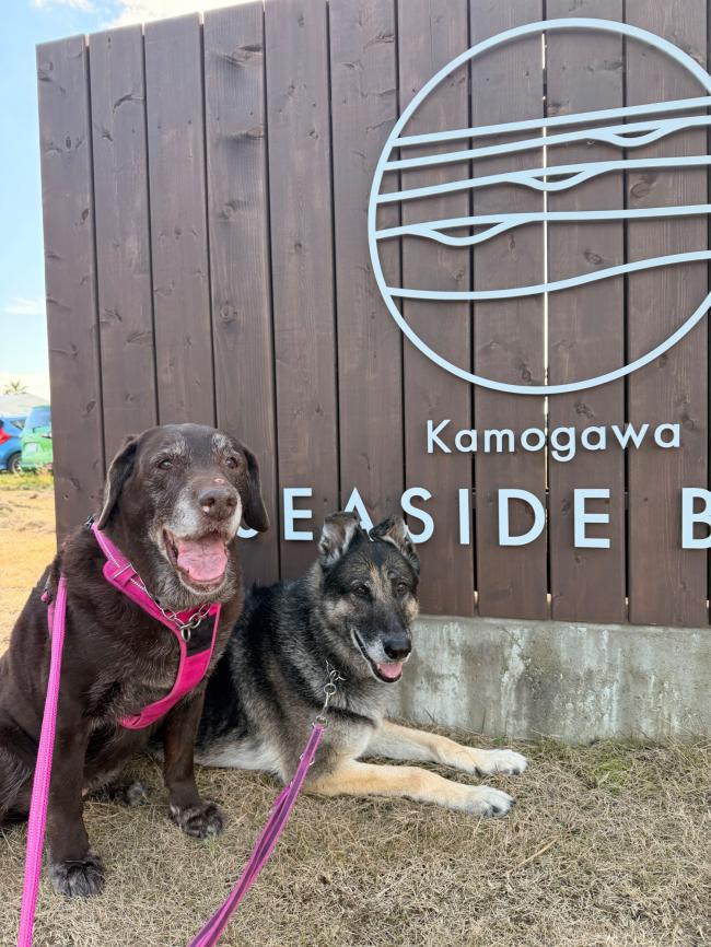 わんこも一緒にお出かけ♩