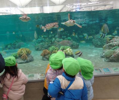 カメさんかわいいね！