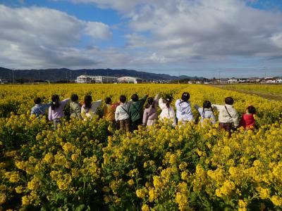 「すご～い！とおくまできいろい！！」（園外保育・菜な畑ロード）