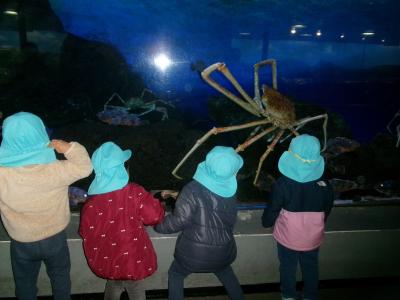 かに大きい！！（お別れ遠足)