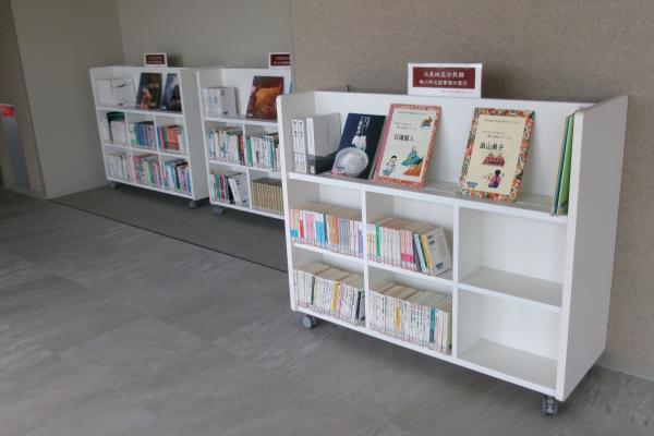 廊下に設置した本棚1