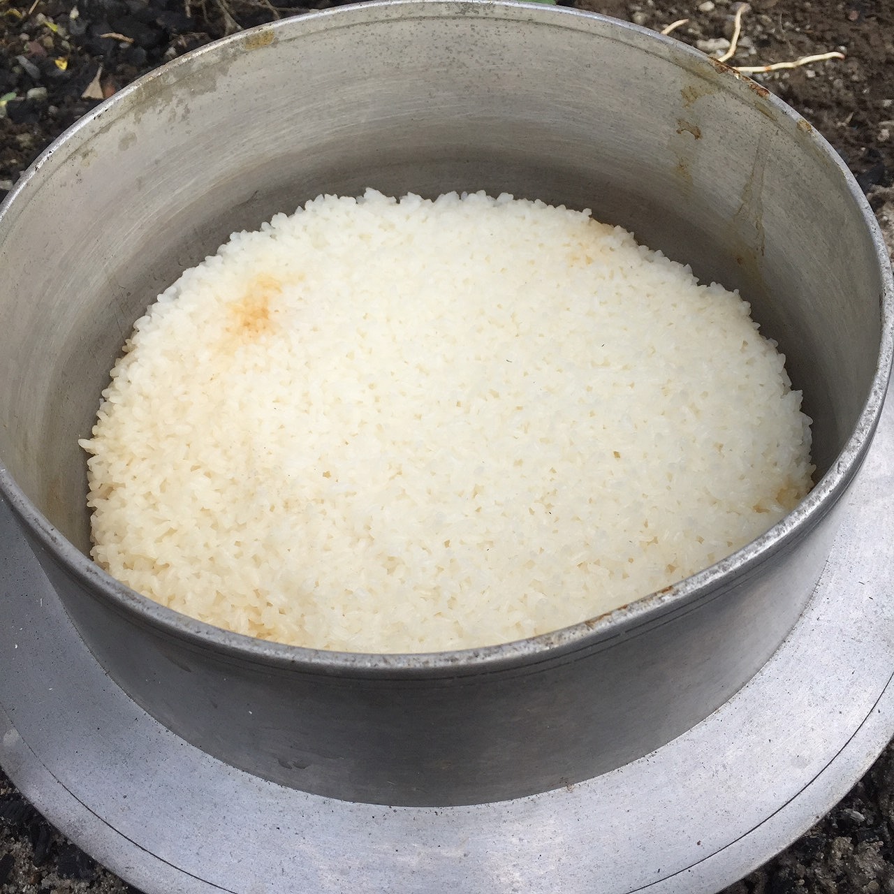 お米づくりを体験！(3)＜待望の収穫！＞の画像3