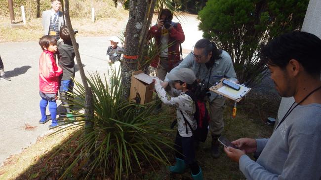 野鳥の巣箱観察会２