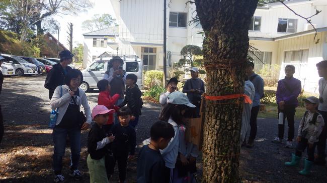 野鳥の巣箱観察会３