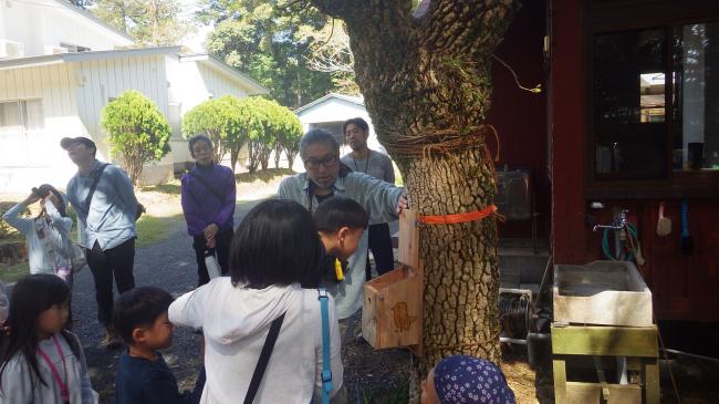 野鳥の巣箱観察会３