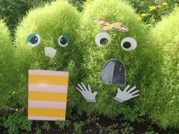 図書館のコキア２