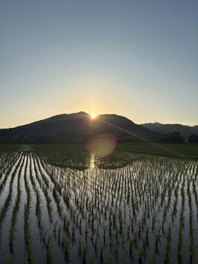 鴨川富士に日が沈んでいく写真