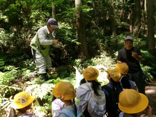 講師二人が山の中で説明