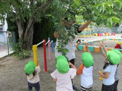 戸外遊び「みーつけた！」