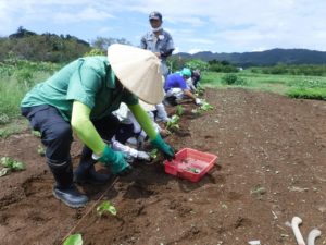 スウェーデントーチは災害にも役立つ?《ふるさと鴨川通信NO.173》の画像04