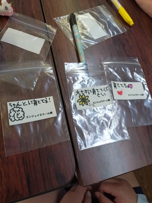 メッセージ種2