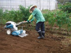 スウェーデントーチは災害にも役立つ?《ふるさと鴨川通信NO.173》の画像12