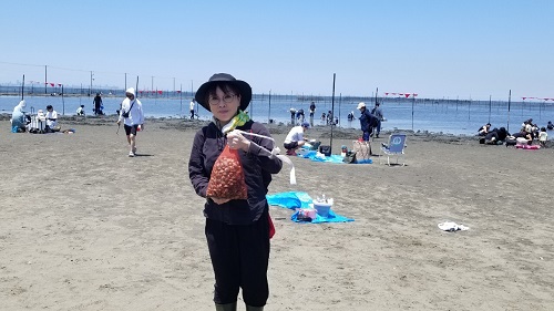 あさりがとれました