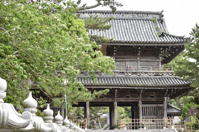 誕生寺仁王門の写真